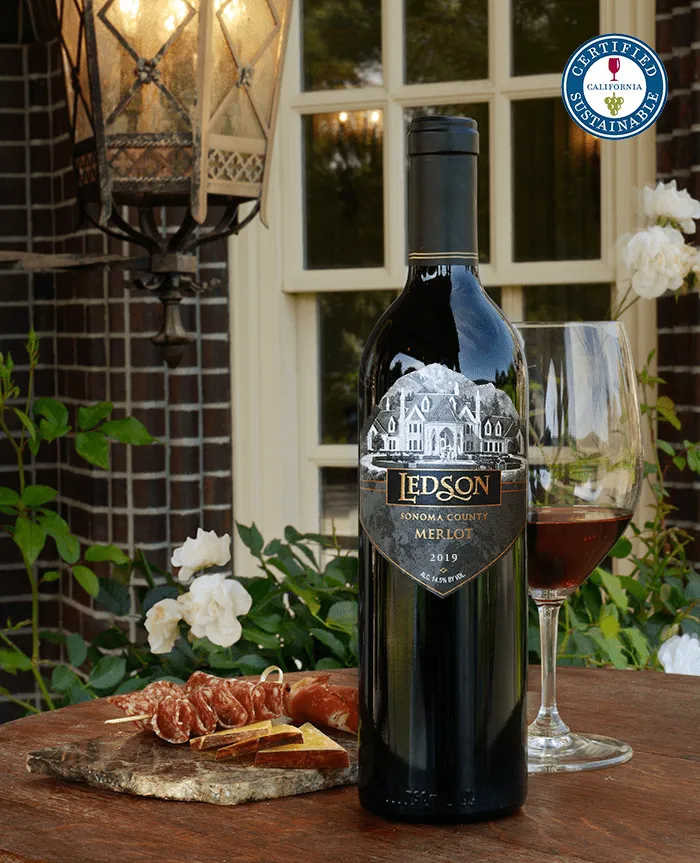 2019 Sonoma County Merlot