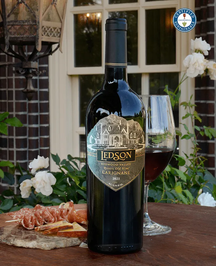 2021 Redwood Valley 'Ricetti Old Vine' Carignane
