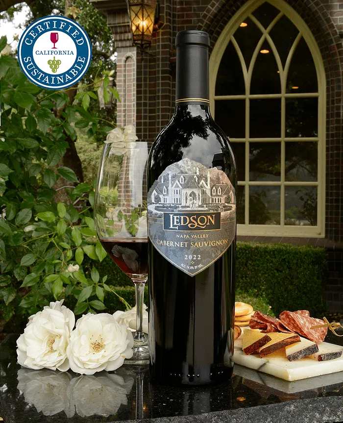 2022 Napa Valley Cabernet Sauvignon