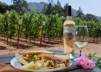 6 sonoma valley wine country picnic