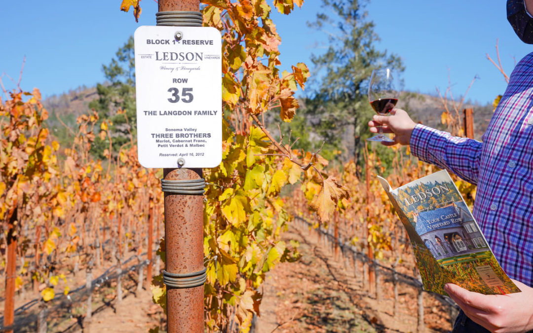 What you should know about our Vineyard Row Program
