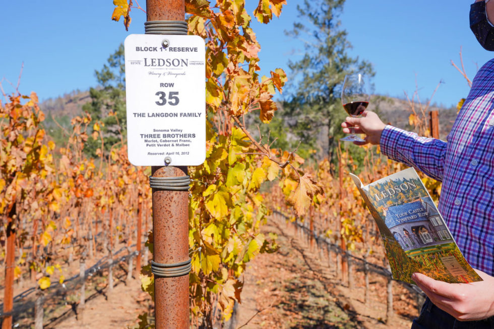 Everything about our Vineyard Row Program Ledson Winery