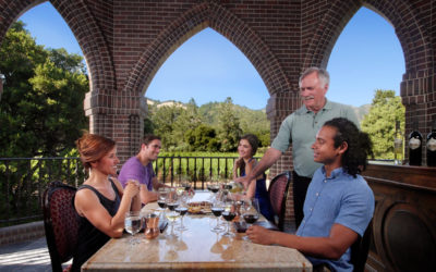 What Tasting Options does Ledson Winery Offer?