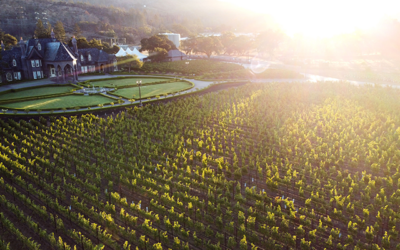 A Legacy of Ledson: A Journey Through Our Sonoma Winery’s History