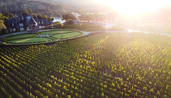 A Legacy of Ledson: A Journey Through Our Sonoma Winery’s History
